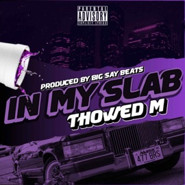 In My Slab Thowed M