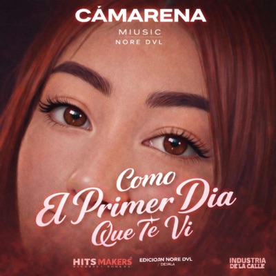 como el primer día que te ví (feat. Nore DvL & juniorBx') - Single