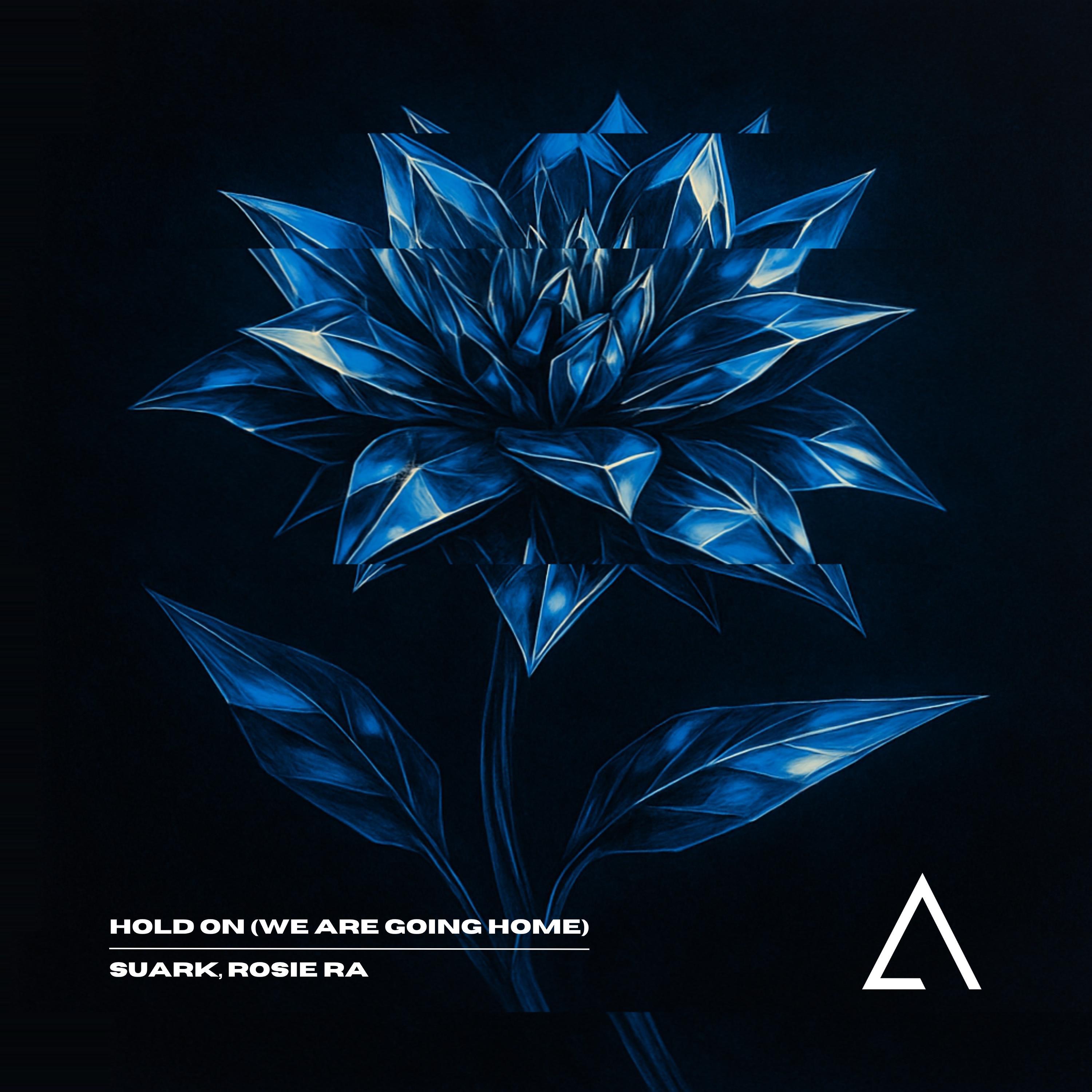 Hold On (We Are Going Home) - Single