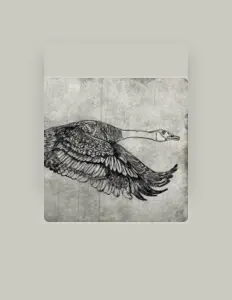 Ascolta Remy Morgan, guarda video musicali, leggi la biografia, vedi le date del tour & altro!