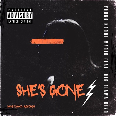 She's Gone (feat. Big Flawa King) - Single