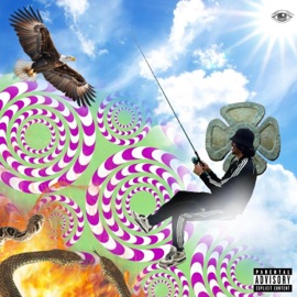 Eye Miss Attachment $tar$eed