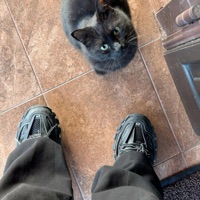 Ghost Town (feat. 2up Fil) - Single - Danny Prolific