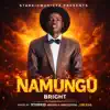 BRIGHT - NaMungu