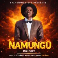 NaMungu — BRIGHT