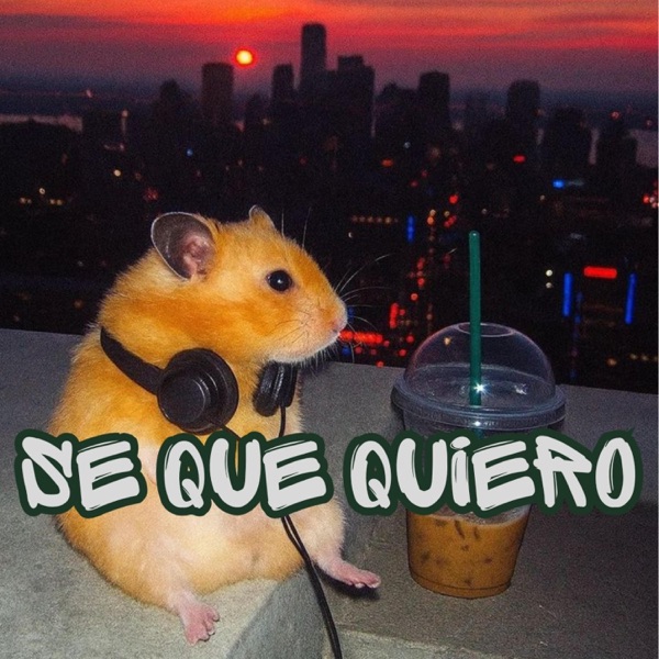 Se Que Quiero