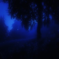 strain - Single - ønyxi