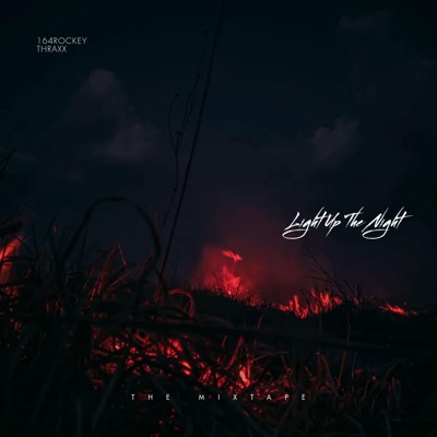 Light Up The Night (feat. Thraxx) - Single