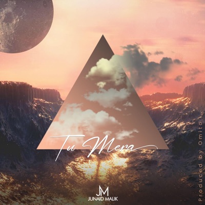 Tu Mera - Single