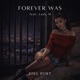 Forever Was feat Jonas Feld Lady M Single