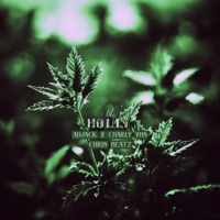 Holly - Single - AdJack, Charly Vhs & Chris Beatz