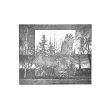 B.P. - View of the Shield