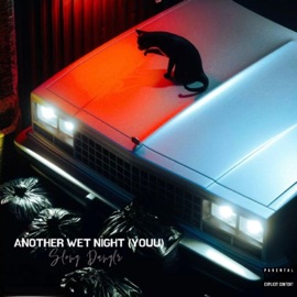 Another Wet Night (YOUU) Slong Danglr