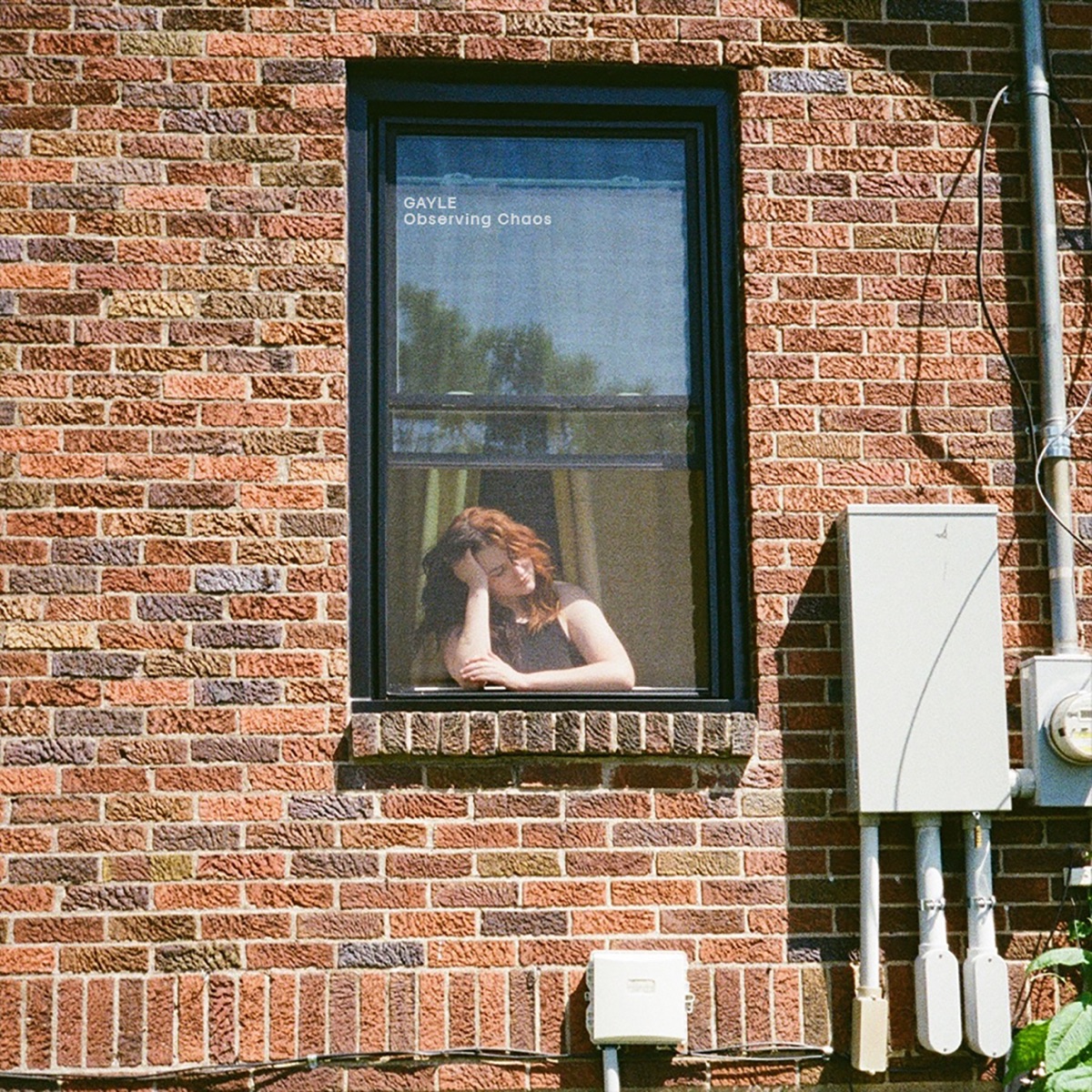 Observing Chaos cover art