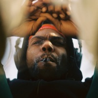 Jerome Raheem Fortune (10 Year Rediscovery) - Rome Fortune