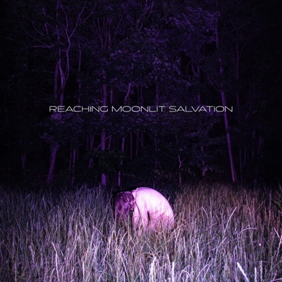 Reaching Moonlit Salvation