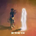Se Te Ne Vai