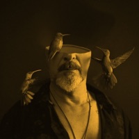 MUSE (feat. Liyah Katana & Dtee) - Single - DJ Ino