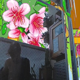 Flores Bonitas yoyovix