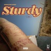 Sturdy - Single