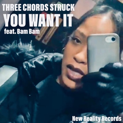 You Want It (feat. Bam Bam) - Single