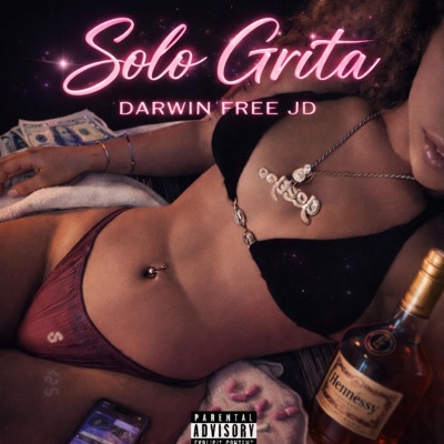 Solo Grita - Single
