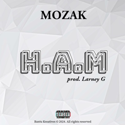 H.A.M - Single