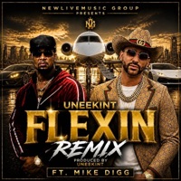 Flexin (feat. mike digg) [Remix] - Single - Uneekint