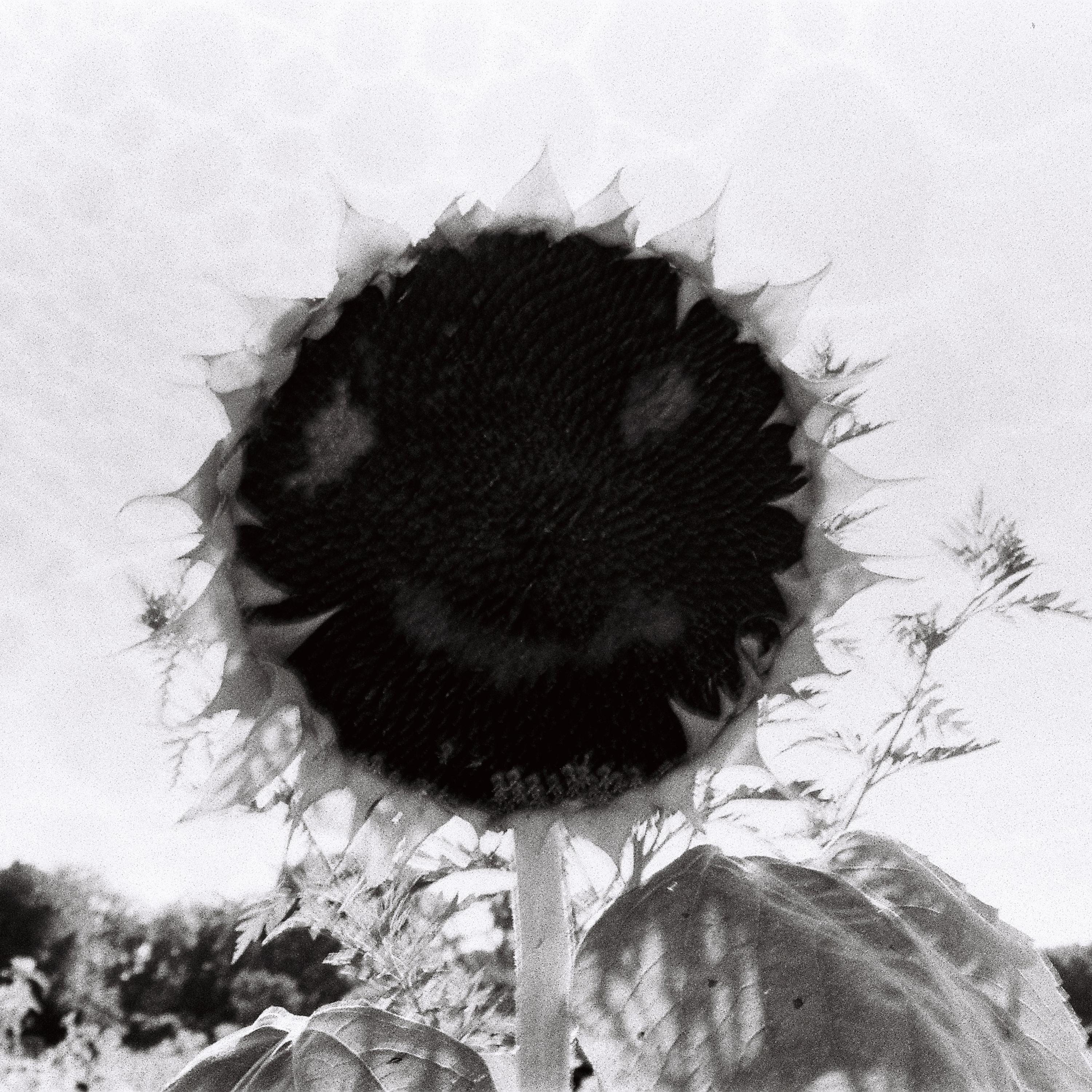 Bite My Tongue - Single