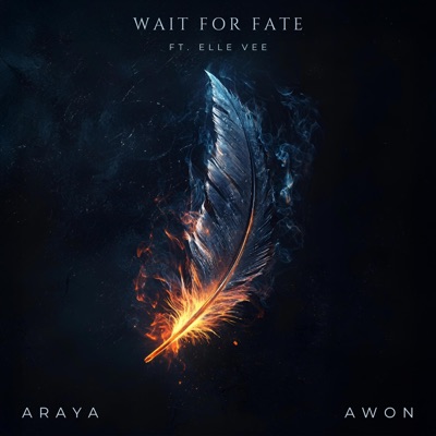 Wait for Fate - Single