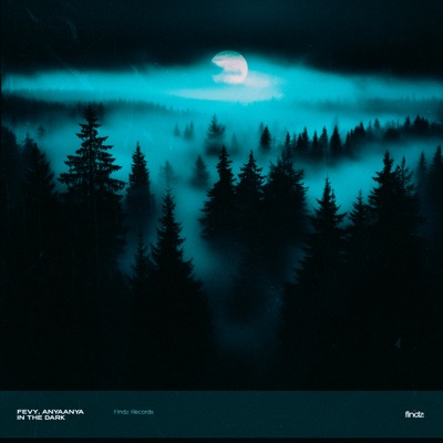 In the Dark - Single