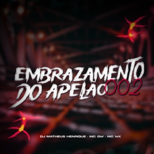 Embrazamento do apelão 002