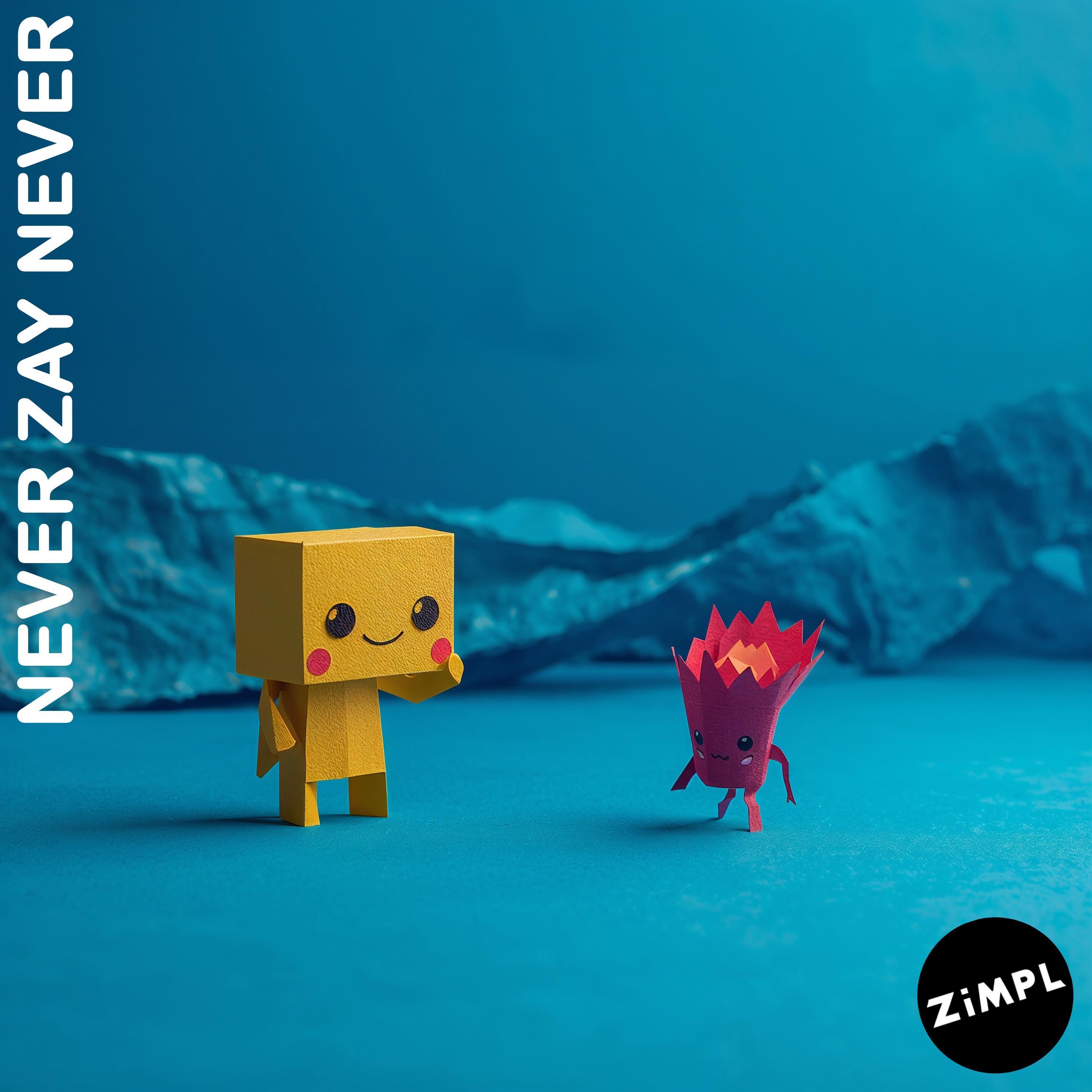 ZiMPL - Never Zay Never