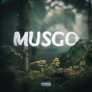 Musgo