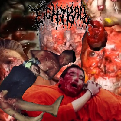 Hopping the Border With Drugs In My Ass - Single