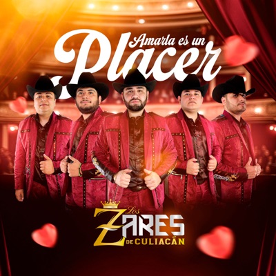 Amarla es un Placer - Single