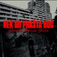 Nek mi prašta Bog - Single - Jovica Dobrica & Skele