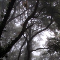 hurricane - Single - riptenshi