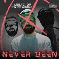 Never Been - Single - TwinTerror