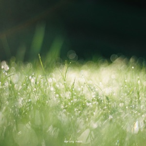 Spring rain