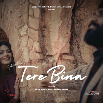 Tere Bina (feat. Numan Khan, Sahir Alam & Sumble Noreen) - Single