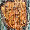 Even the Pines