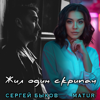 Сергей Быков & MATUR - Жил один скрипач обложка