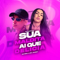 Sua Maldita - Ai Que Delicia - Single - Mc India, Lira Johnny Mc & DJ Lucas ZN