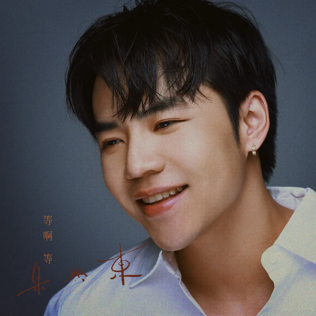 朱兴东 - 等啊等 - Single (2025) [iTunes Plus AAC M4A]-新房子