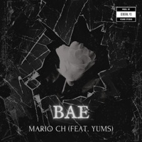 Bae (feat. Mario CH & YUMS) - Single - Young Studio