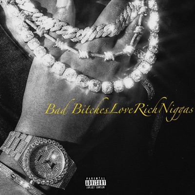 Bad Bitches Love Rich Niggas - Single