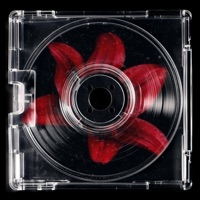 Flowers - Single - andi1