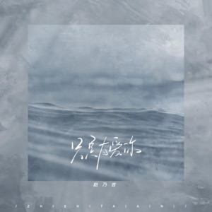 只是太爱你 - Single