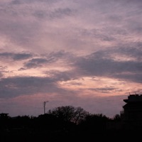 natural light - Single - Koalres & ambifi.